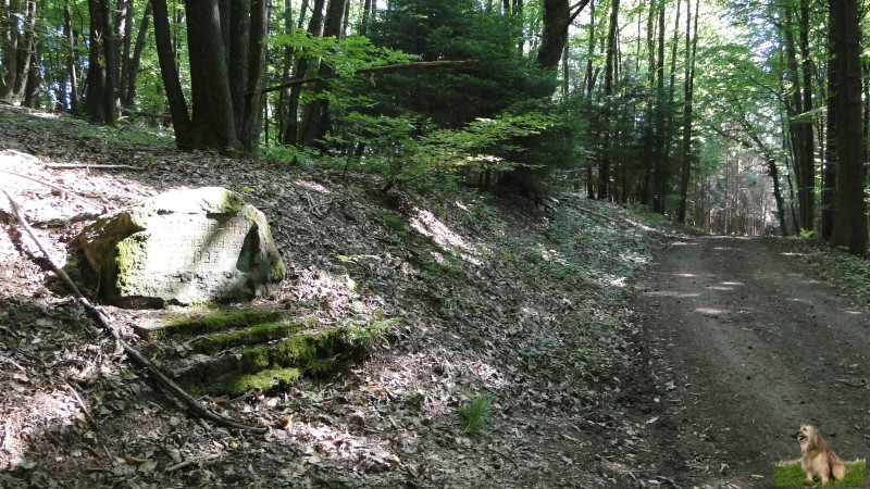 Ritterstein Nr. 299-5b Rödelstein-Pfad erb. v. Pfälz. Wald-Verein 1927.JPG - Ritterstein Nr.299 Rödelstein-Pfad erb. v. Pfälz. Wald-Verein 1927